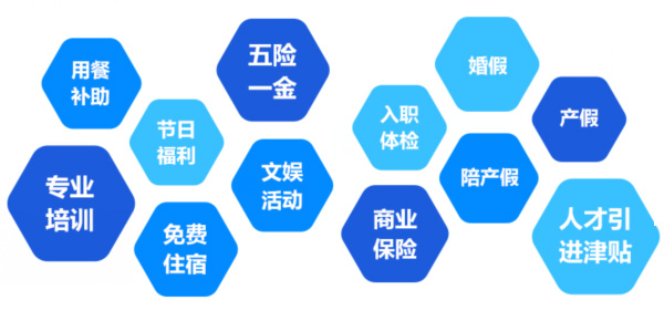 提供全面、系統(tǒng)、專業(yè)的培訓(xùn)和廣闊的<br>職業(yè)發(fā)展空間和提升機(jī)會(huì)